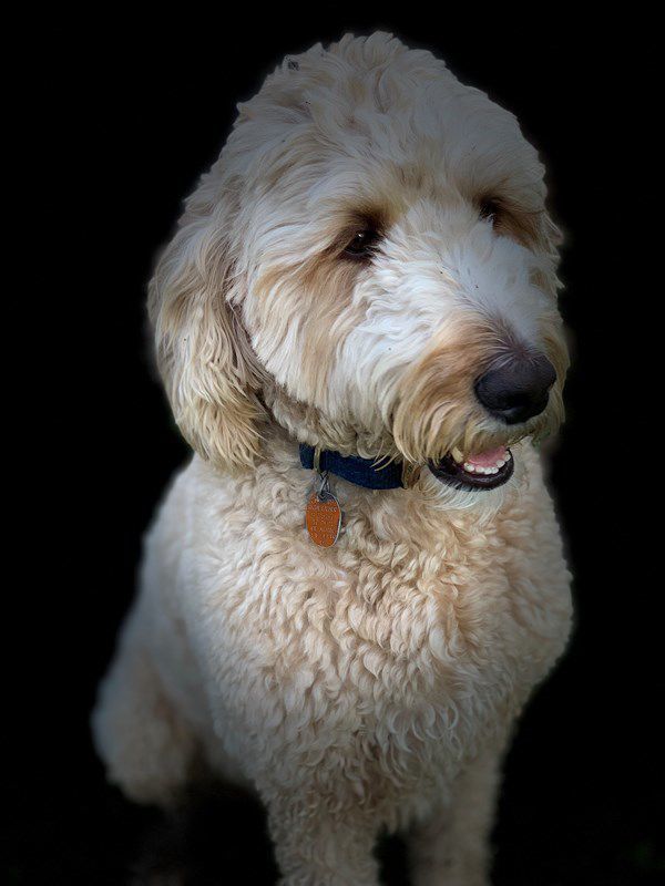 Barkley